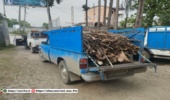 توقیف خودروهای نیسان و پیکان وانت حامل چوب آلات غیر مجاز جنگلی در منطقه بندپی غربی شهرستان بابل