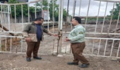 پلمپ یک واحد دپوی چوب آلات در کمربندی نکا با دستور دادستان محترم شهرستان