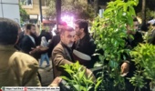 توزیع نهال مثمر توسط باقری جامخانه مدیرکل منابع طبیعی و آبخیزداری مازندران-ساری در اجتماعات شبانه مرکز استان مازندران