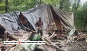 آزادسازی ۵۰۰ مترمربع از زمین‌های جنگلی در شهرستان نور
