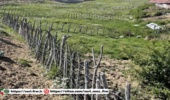 بازگشت ۸۰۰ مترمربع از اراضی ملی روستای نوجمه شهرستان نور به طبیعت