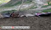 برخورد قاطع با چرای غیرمجاز و رفع تصرف اراضی ملی در مراتع خجیرکلا شهرستان نور
