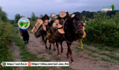 کشف و ضبط چوب‌آلات قاچاق در شهرستان نور
