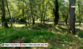 رفع تصرف ۳۰۰۰ مترمربع از اراضی ملی واقع در جنگل‌ ازهیرو منطقه بندپی غربی شهرستان بابل