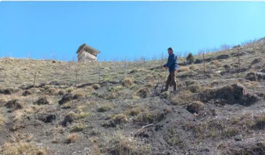 ۵ هزار مترمربع عرصه ملی در آمل آزاد شد