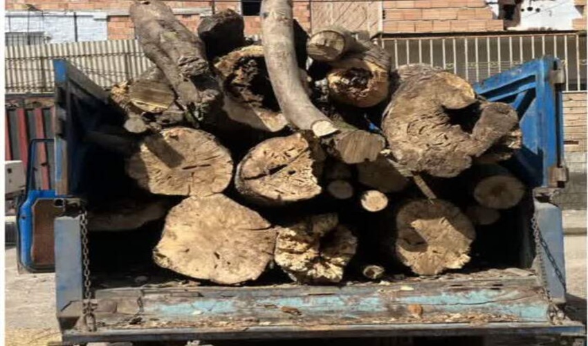 کشف و ضبط چوب آلات جنگلی قاچاق در حوزه استحفاظی سنگتراشان ساری