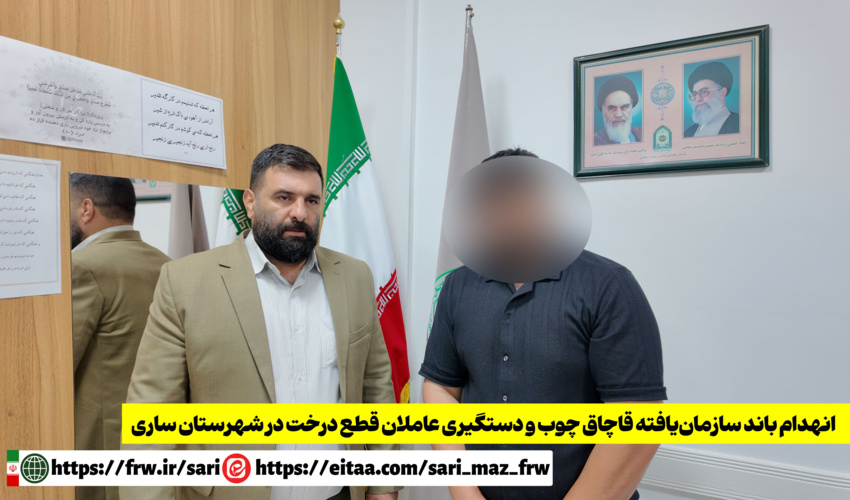 مدیرکل منابع طبیعی مازندران خبر داد: انهدام باند سازمان‌یافته قاچاق چوب و دستگیری عاملان قطع درخت در شهرستان ساری