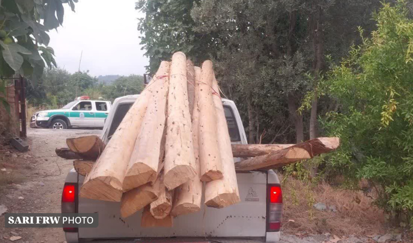 کشف و ضبط چوب آلات قاچاق در حوزه استحفاظی شهرستان گلوگاه