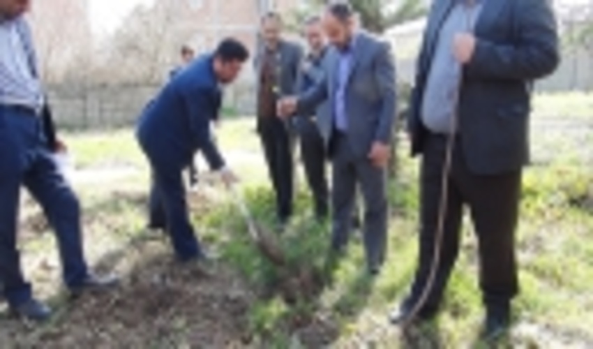 مراسم نهال کاری به مناسبت گرامیداشت روز شهدا در اداره کل منابع طبیعی و آبخیزداری مازندران- ساری با حضور فرزندان شاهد