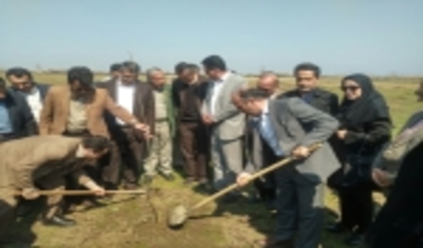 نهال کاری با مشارکت اعضای سازمان های مردم نهاد در روستای گلیرد جویبار