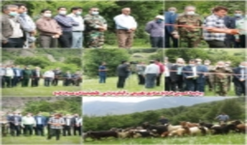 برگزاری یازدهمین جشنواره قرق شکنی مراتع ییلاقی شهرستان سوادکوه که با حضور مسولین استانی و شهرستانی