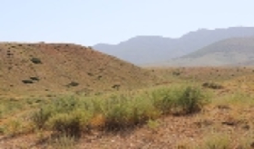 اطلاعیه- اعتبار پروانه های مرتعداری(پروانه های چرای دام)