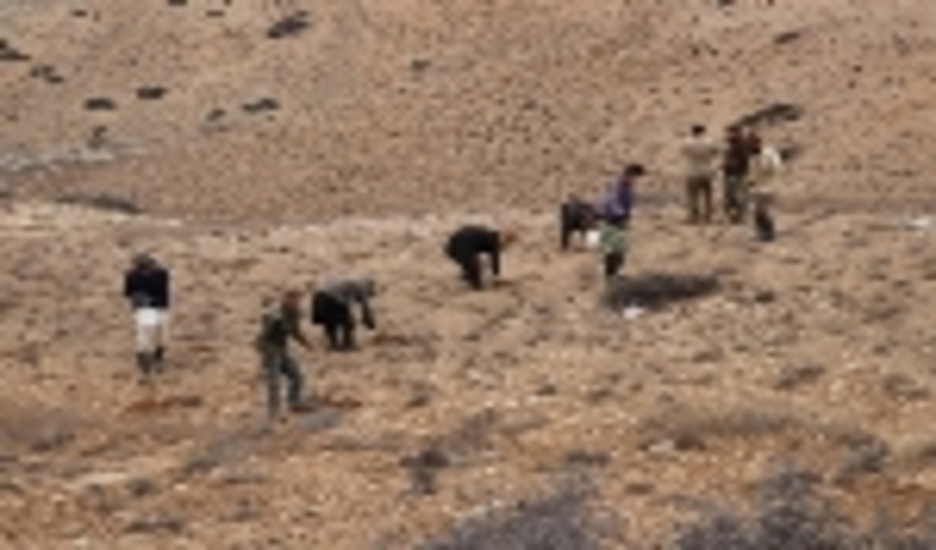 رئیس اداره مرتع اداره کل منابع طبیعی و آبخیزداری مازندران- ساری خبر داد: اجرای عملیات کپه کاری در سطح 750 هکتار از مراتع ییلاقی استان