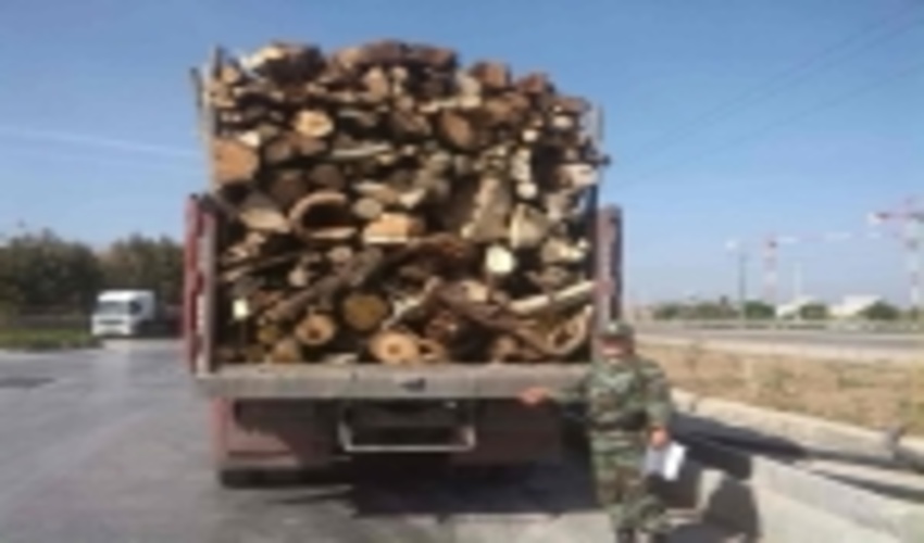 توقیف 26 مورد وسائط نقلیه قاچاق و دستگیری 30 متخلف در شهرستان قائمشهر طی یک ماه اخیر