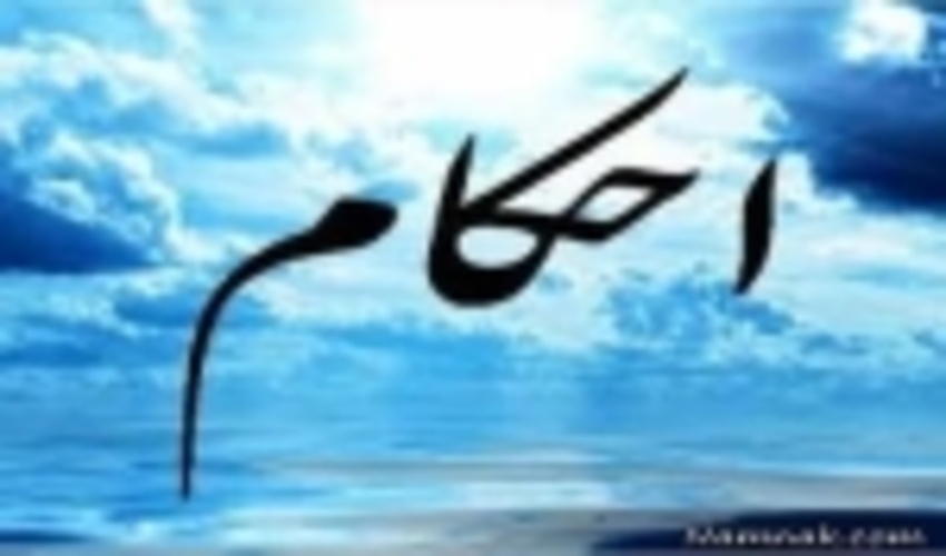 رئیس اداره حقوقی اداره کل منابع طبیعی و آبخیزداری مازندران- ساری خبر داد: صدور احکام جایگزین حبس در سه شهرستان بهشهر، میاندرود و آمل