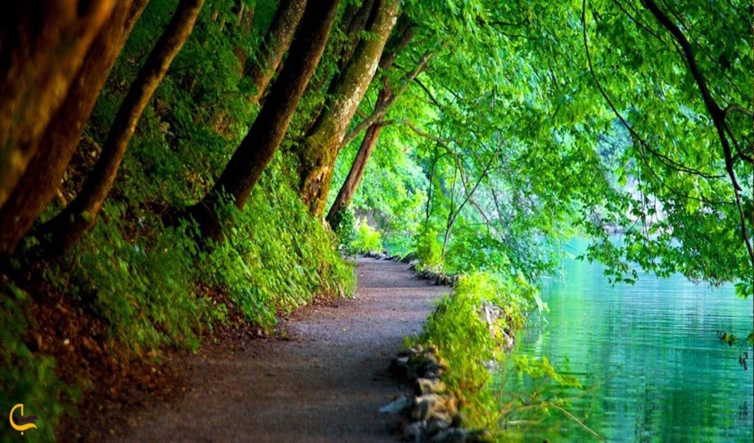 تست جدید خبر در وبسایت