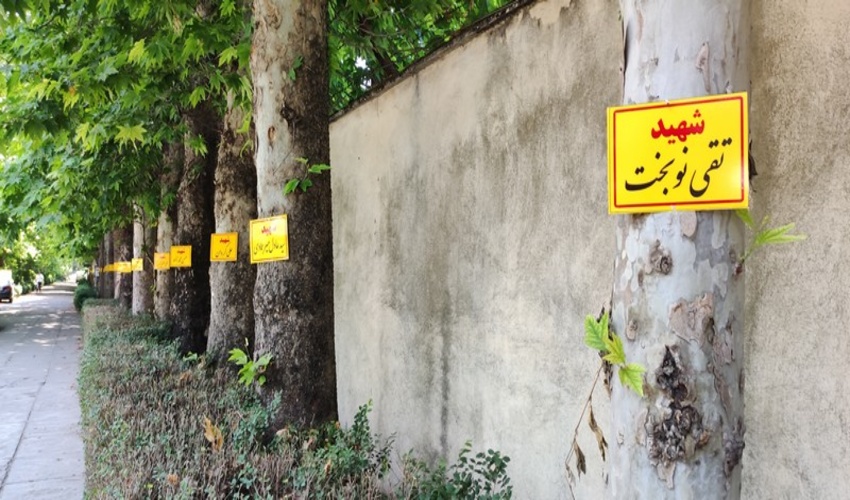 نامگذاری درختان محوطه اداره کل منابع طبیعی و آبخیزداری مازندران- ساری به نام شهدا