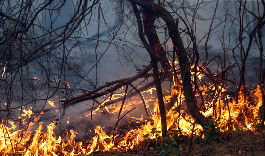 رئیس اداره کنترل سیلاب و آبخوانداری اداره کل منابع طبیعی و آبخیزداری مازندران ـ ساری خبر داد: اتمام احداث پروژه‏های مکانیکی آبخیزداری در حوزه‏آبخیز چالو شهرستان ساری