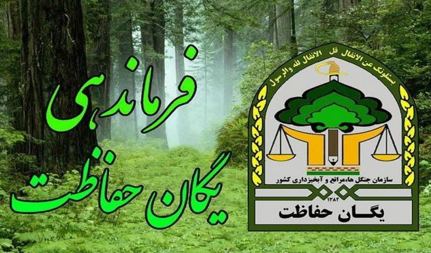 رفع تصرف 148 هکتار اراضی ملی از دست متصرفین در شش ماه نخست امسال