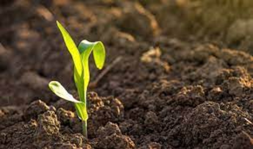  بیش از 90 درصد مواد غذایی ما از خاک تامین می شود