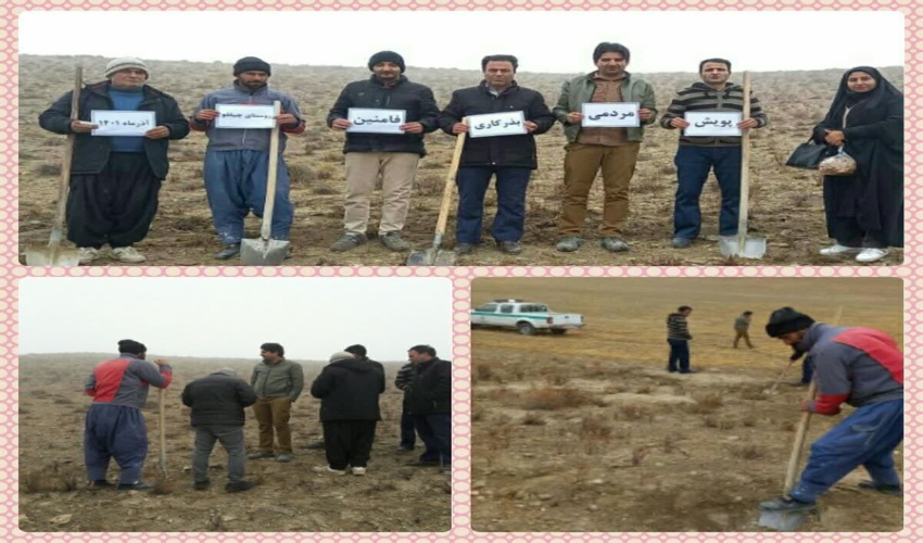 برپایی سفره یلدا در اداره کل منابع طبیعی و آبخیزداری مازندران-ساری