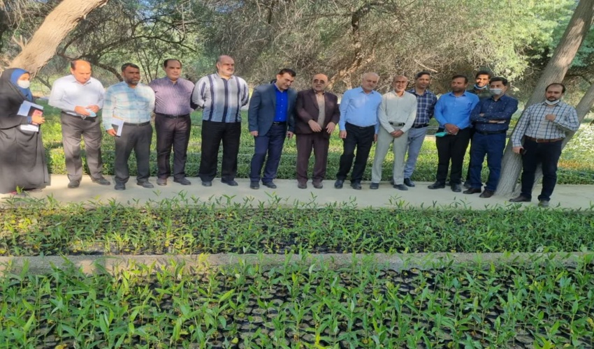 رزمایش مقابله با قاچاق چوب در آمل