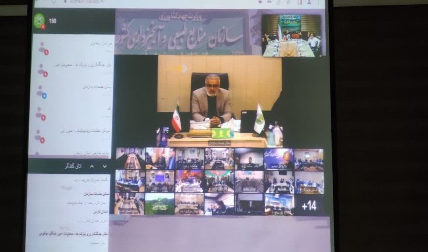 برای برون رفت از چالش های زیست محیطی نیازمند تقویت پوشش گیاهی هستیم