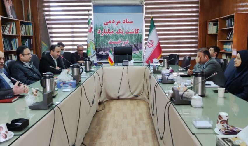  تولید 3 میلیون اصله نهال از ابتدای سال تا کنون در نهالستانهای اداره کل منابع طبیعی و آبخیزداری مازندران-ساری