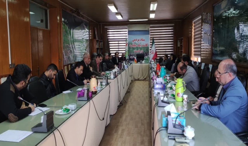 تولید 3 میلیون اصله نهال از ابتدای سال تا کنون در نهالستانهای اداره کل منابع طبیعی و آبخیزداری مازندران-ساری