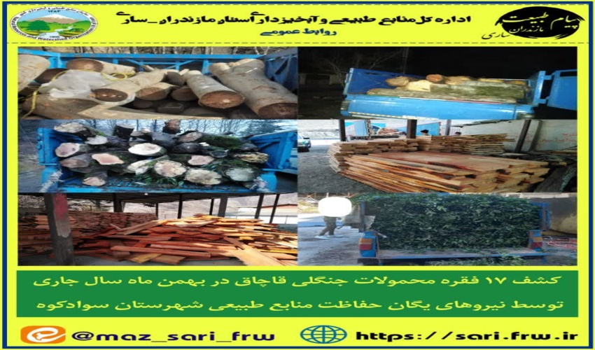 کشف ۱۷ فقره محمولات جنگلی قاچاق در بهمن سال جاری در شهرستان سوادکوه 