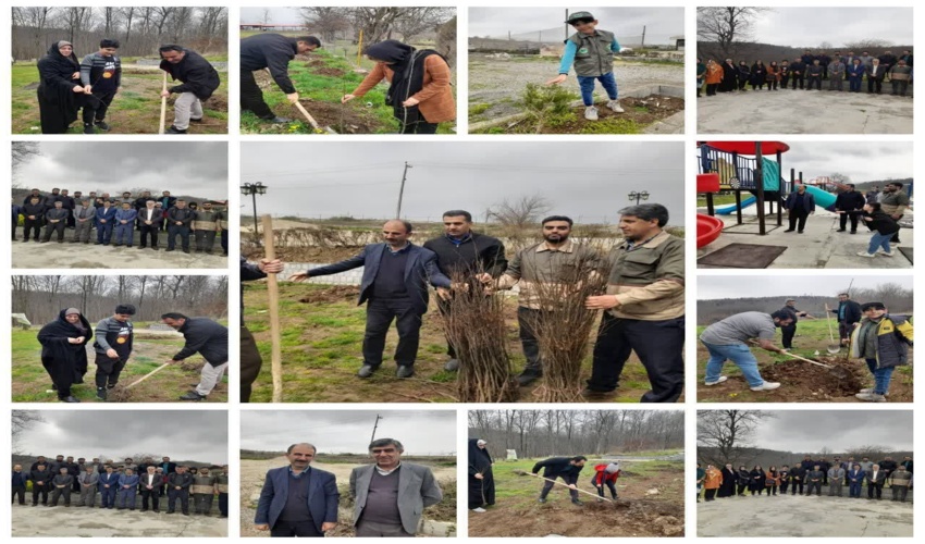 غرس نهال در پارک خشرودپی بندپی غربی بابل