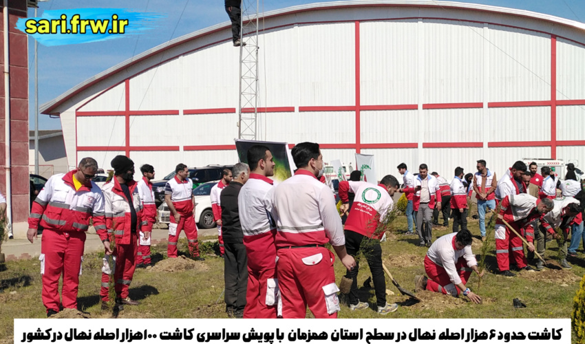 غرس حدود  6 هزار اصله نهال  در استان مازندران 