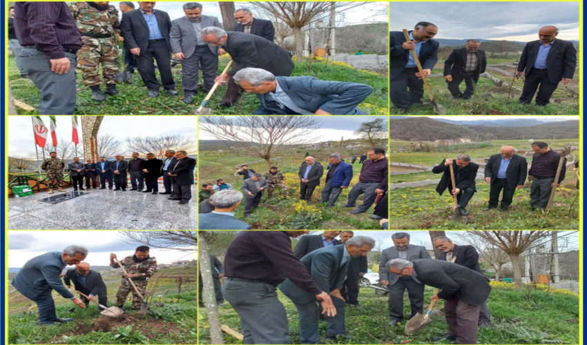 اجرای چند طرح نهال کاری در حوزه منابع طبیعی شهرستان سوادکوه