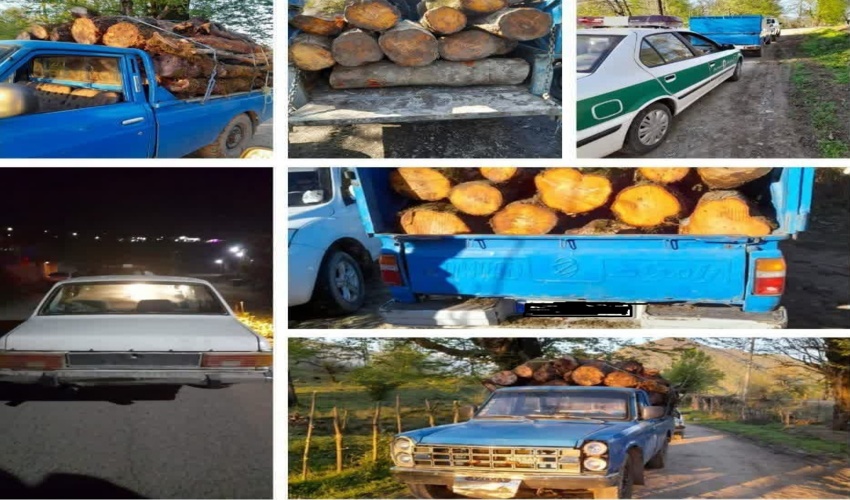 شناسایی و توقیف چوب آلات جنگلی قاچاق در سوادکوه