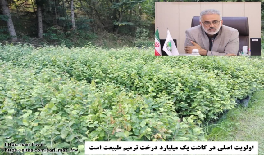 آزادسازی 20000 مترمربع از اراضی ملی در آمل