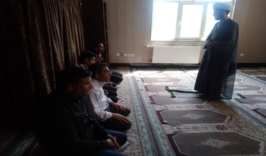 پلمپ مرکز خرید و فروش چوب آلات در شهرستان سوادکوه