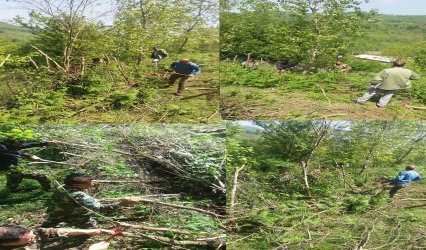 کشف و ضبط چوب آلات قاچاق جنگلی در شهرستان میاندورود