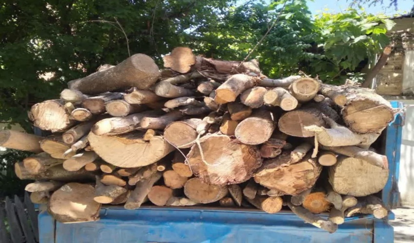  کشف محمولات جنگلی قاچاق در شهرستان سوادکوه