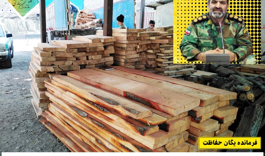 دو ماهه نخست سال جاری تعداد ۲۱۴ فقره پرونده برای حمل غیر مجاز چوب آلات جنگلی تشکیل شد 