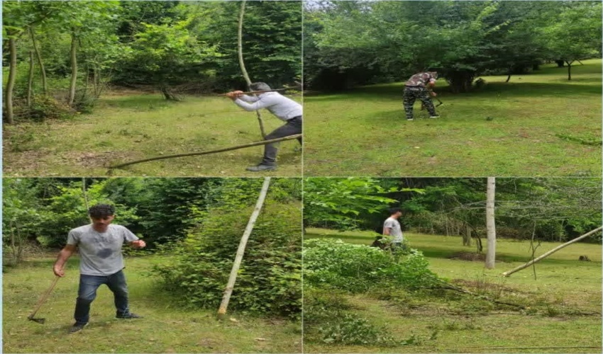 کشف محمولات جنگلی قاچاق در شهرستان سوادکوه شمالی