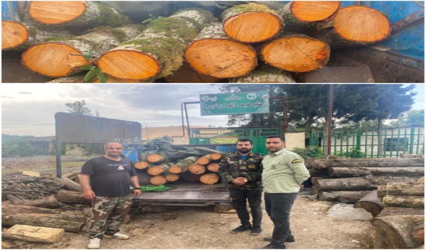 کشف و ضبط چوب آلات جنگلی قاچاق در شهرستان نکا