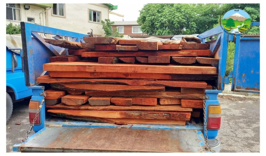 کشف و ضبط چوب آلات قاچاق در شهرستان میاندورود