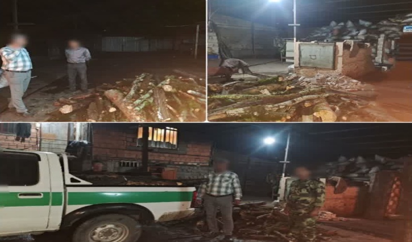  کشف چوب آلات جنگلی قاچاق در شهرستان گلوگاه