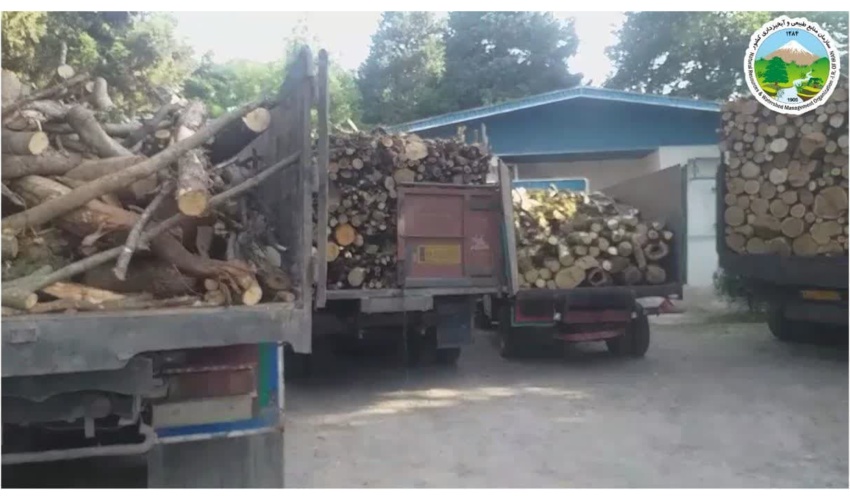 شناسایی خودروهای حامل چوب آلات جنگلی قاچاق در شهرستان آمل
