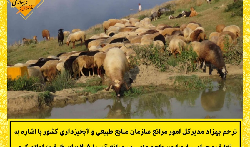 چرای بی رویه و ۲.۵ برابری دام در مراتع کشور