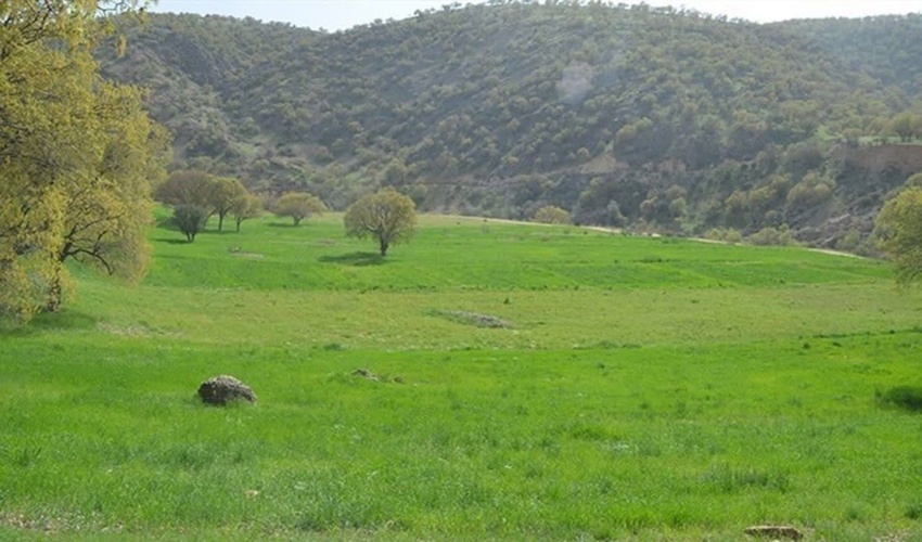 کشف و ضبط محمولات جنگلی در شهرستان نور