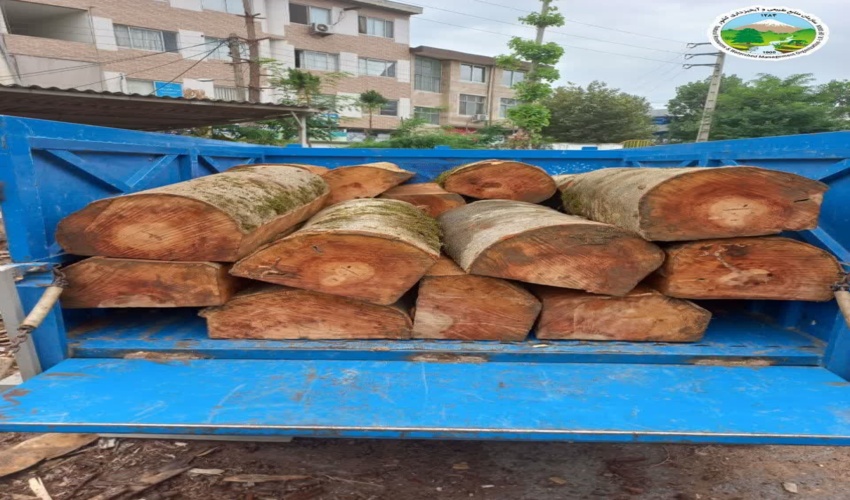  توقیف یک دستگاه خودروی حامل چوب آلات جنگلی قاچاق در آمل 