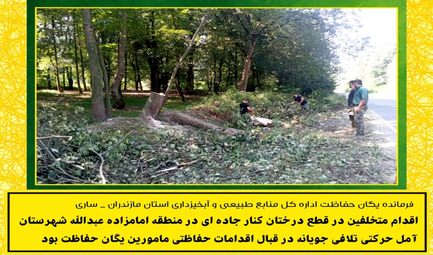 اقدام متخلفین در قطع درختان کنار جاده ای در منطقه امامزاده عبدالله شهرستان  آمل حرکتی تلافی جویانه در قبال اقدامات حفاظتی مامورین یگان حفاظت بود