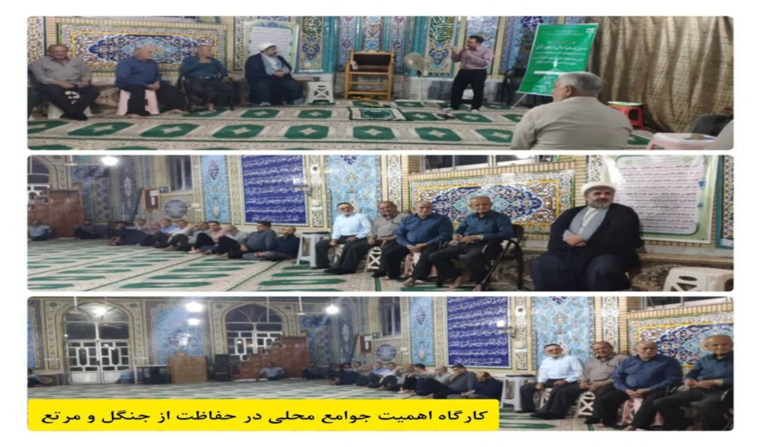 کارگاه اهمیت جوامع محلی در حفاظت از جنگل و مرتع  و مشارکت در طرح مردمی کاشت یک میلیارد درخت