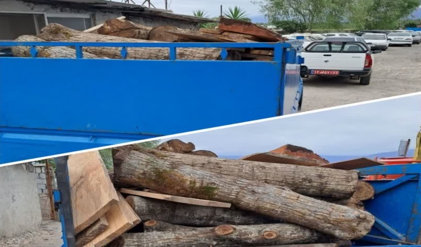 شناسایی و توقیف چوب آلات قاچاق در عملیات مشترک یگان حفاظت و سپاه پاسداران شهرستان نور